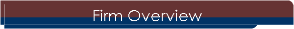 Firm Overview
